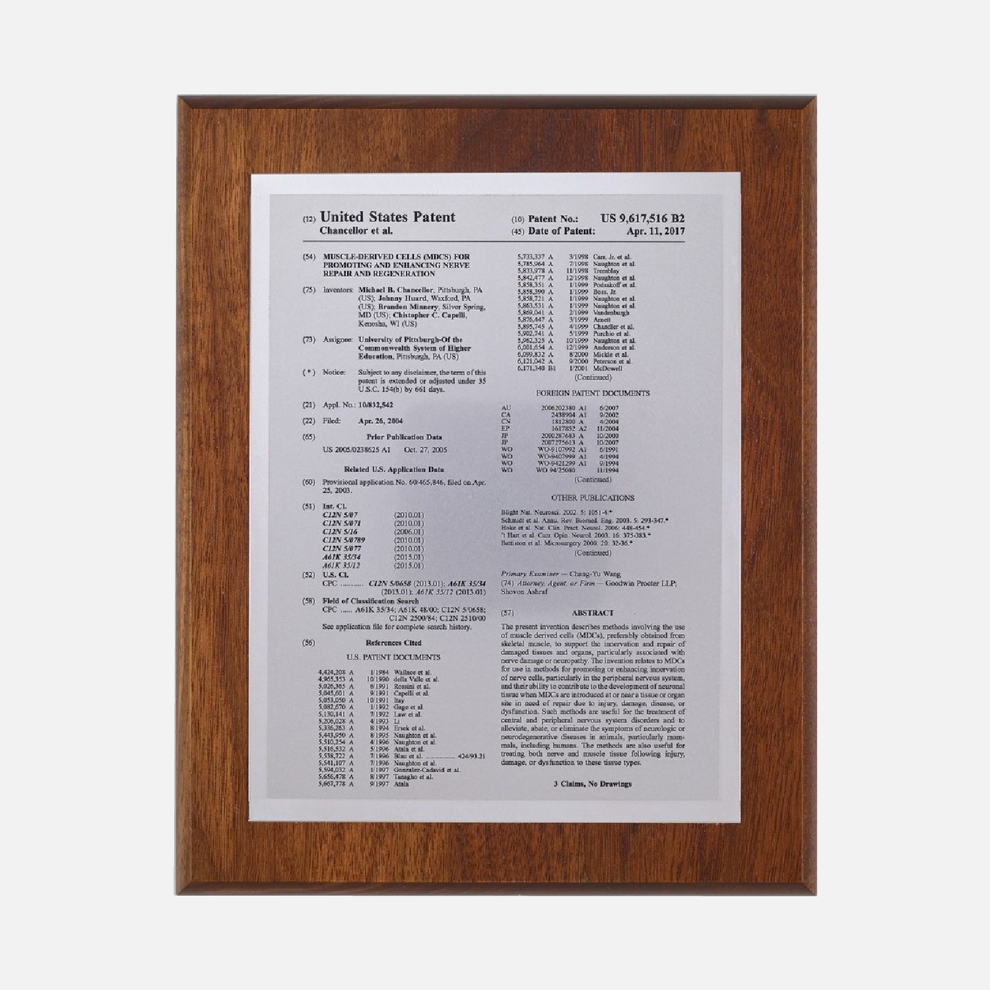 Summary Patent Plaque