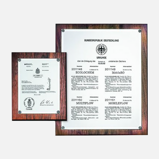 International Patent Plaque